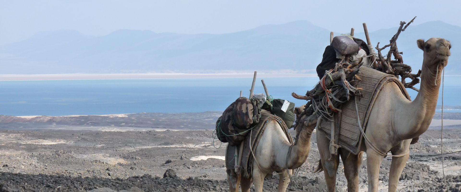 Djibouti