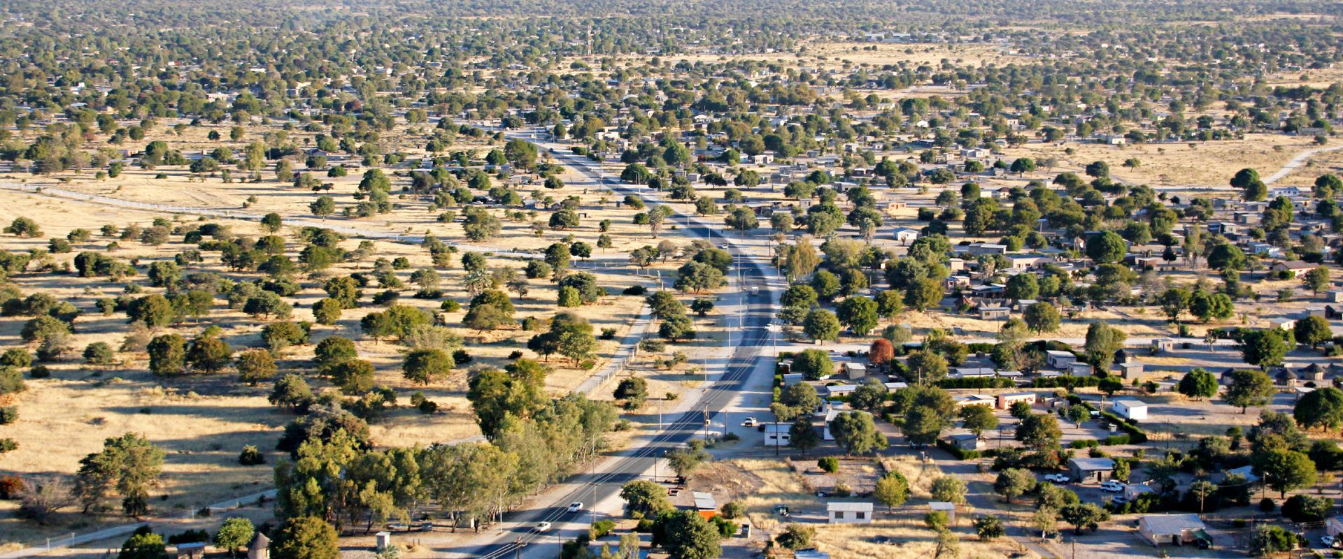 Maun
