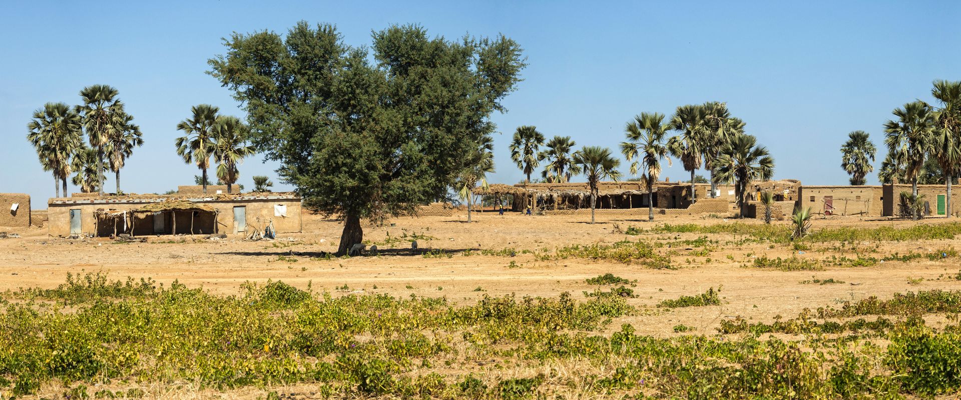 Ndjamena