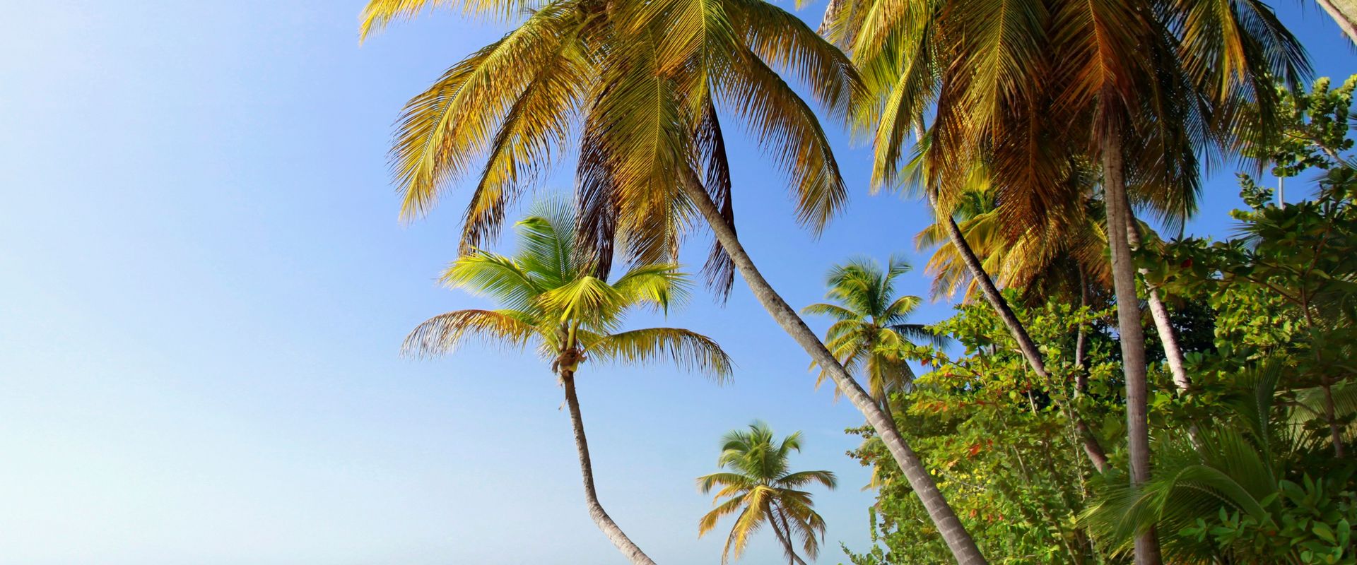 Tobago