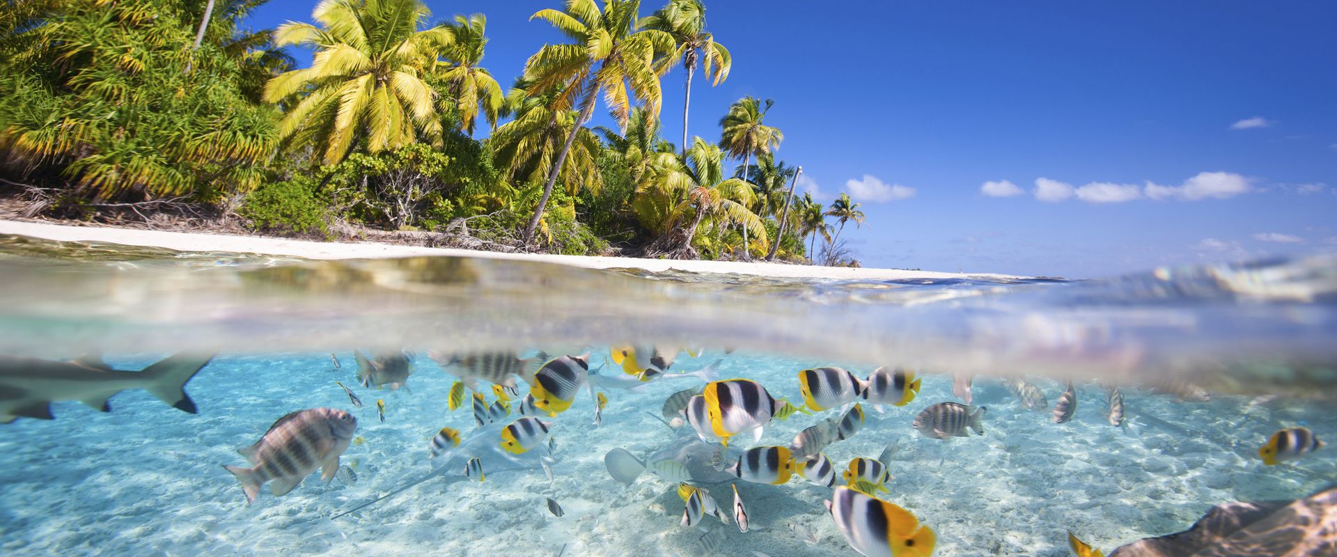Tikehau Atoll