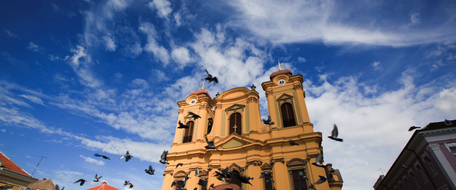 Timisoara